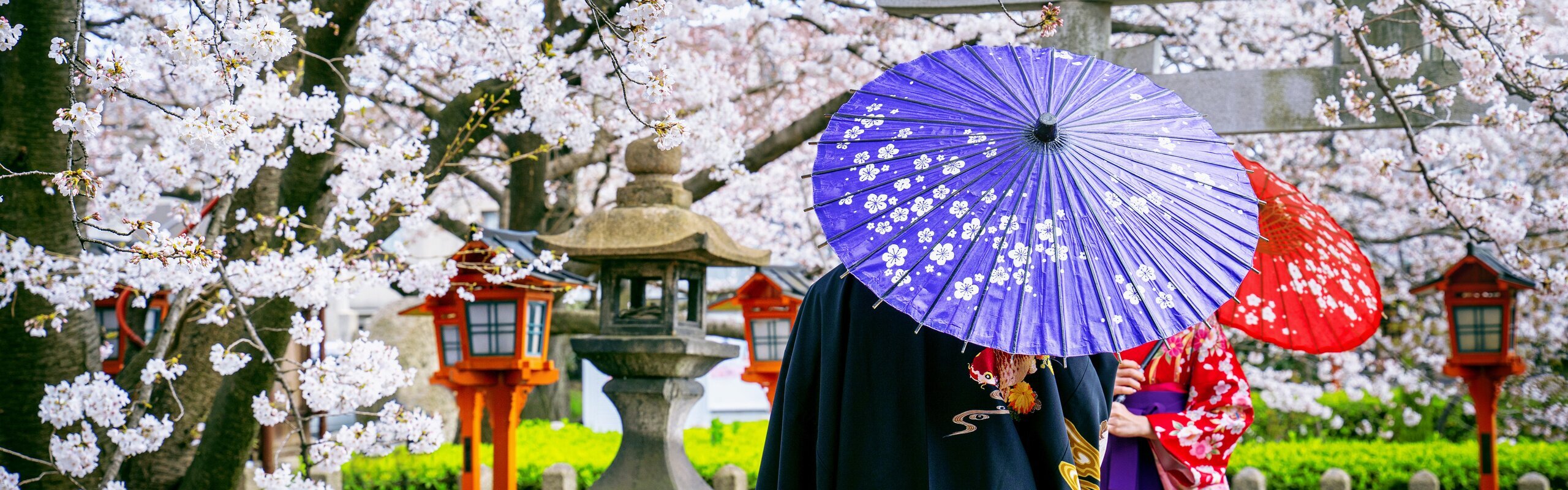 10-Day Charming Japan Cherry Blossom Tour