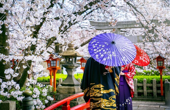 10-Day Charming Japan Cherry Blossom Tour 2026