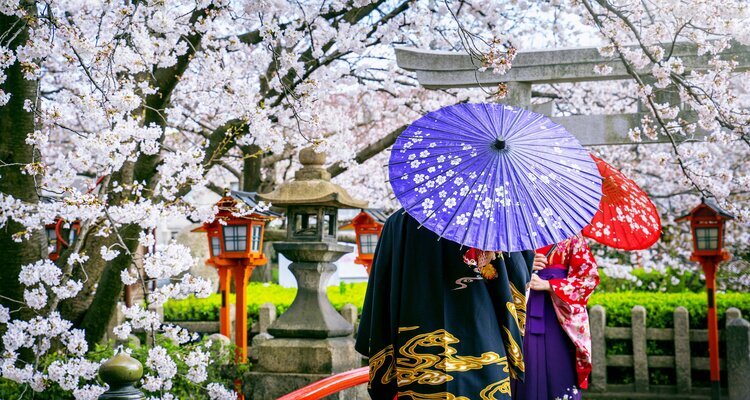 Kimono-Trageerlebnis