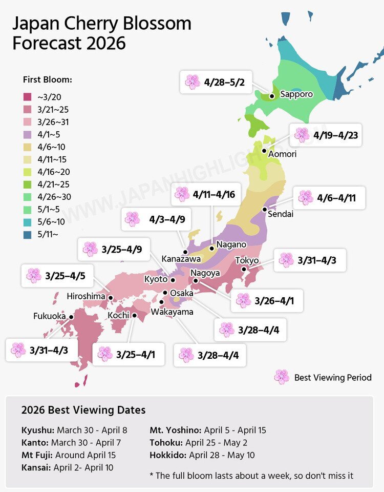 cherry blossom forecast map 2026