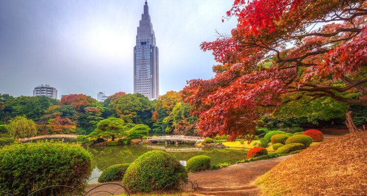 Shinjuku Gyoen