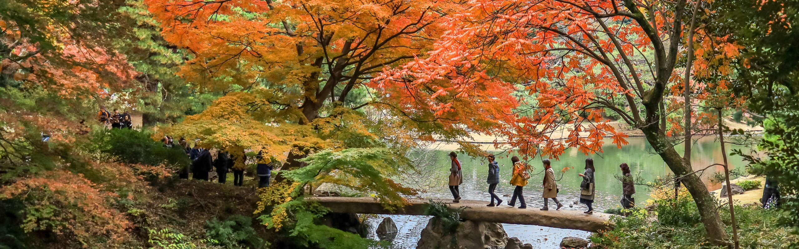 Tokyo Weather in November