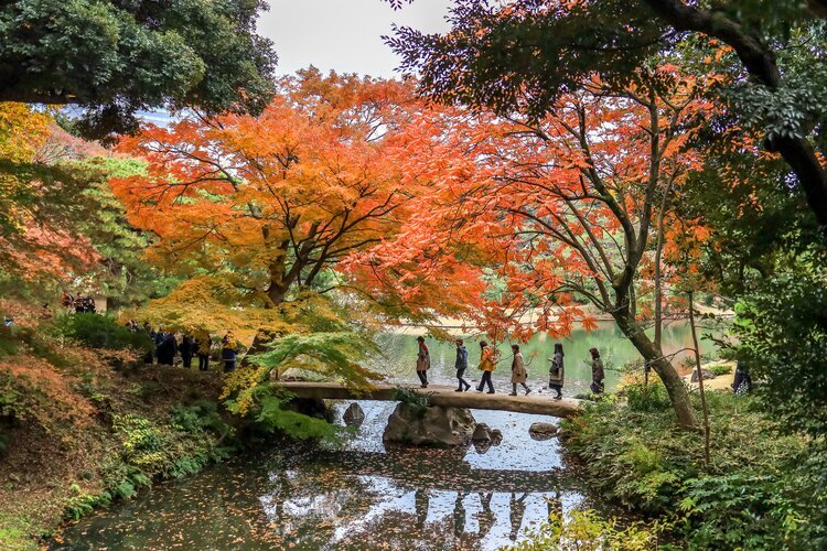 Rikugien Garden