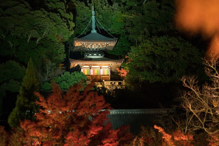 Landmark pagoda in Eikando temple