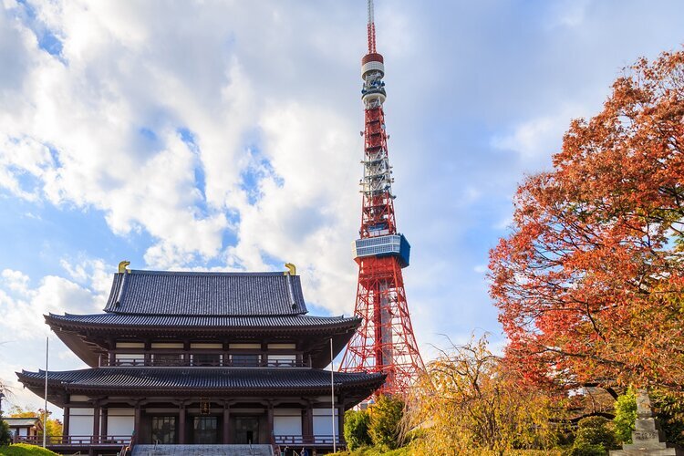 Fall Foliage in Shiba Park, Japan