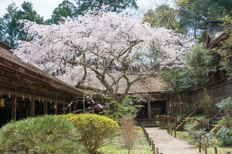 Mikumari Shrine in Mount Yoshino