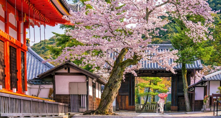Japanischer Garten im Frühling