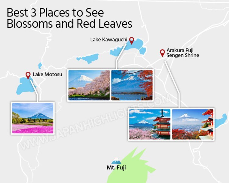Best 3 places to see blossoms and red leaves in Mount Fuji