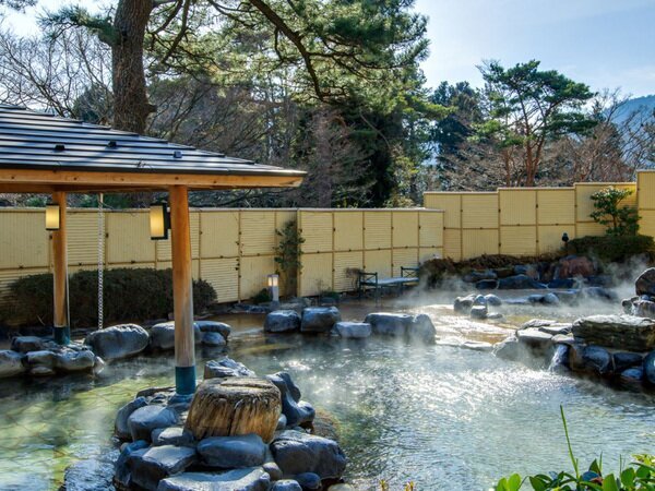 Hakone Onsen Ryokan