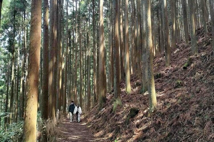 The mountain paths in the inner section