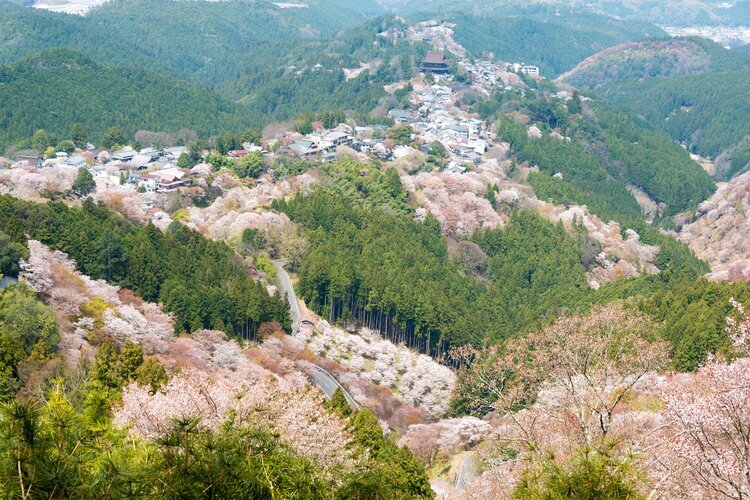 The view seen from the Hanayagura View Point
