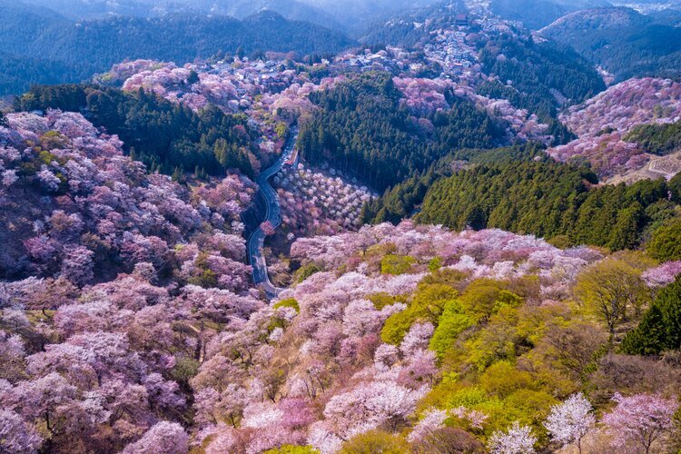 Berg Yoshino