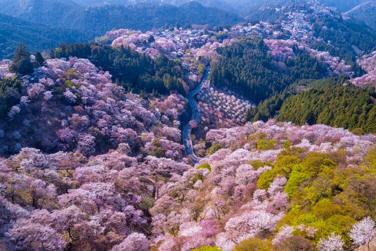 Mount Yoshino