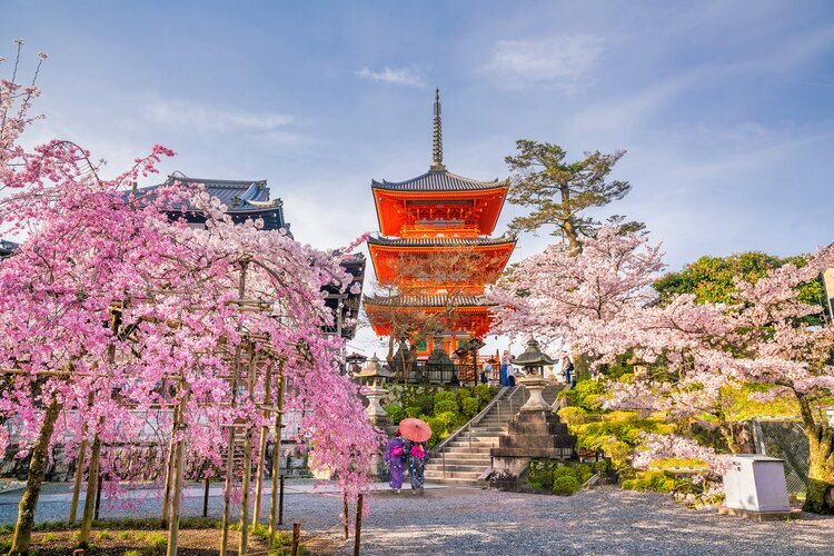 Kiyomizu-dera