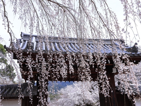 Daigoji Temple