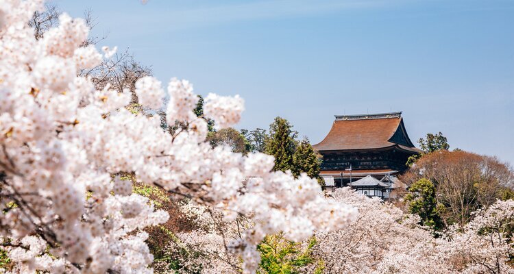 yoshino mountain