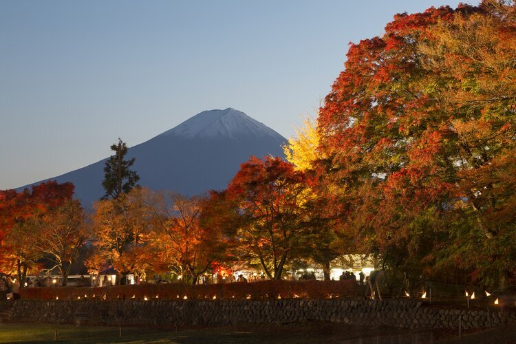 Autumn foliage at Lake Kawaguchi