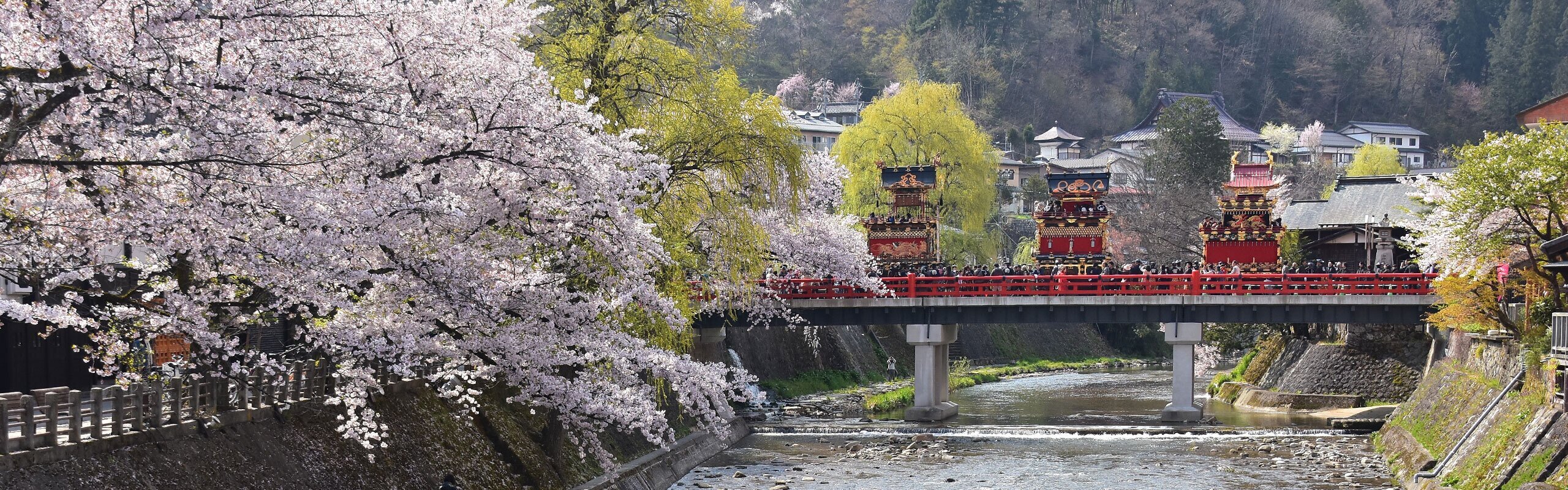 2-Week Japan Spring Family Tour: Blossoms and Festivals