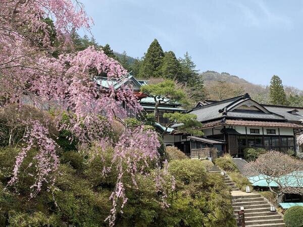 Hakone Kowakien Mikawaya Ryokan
