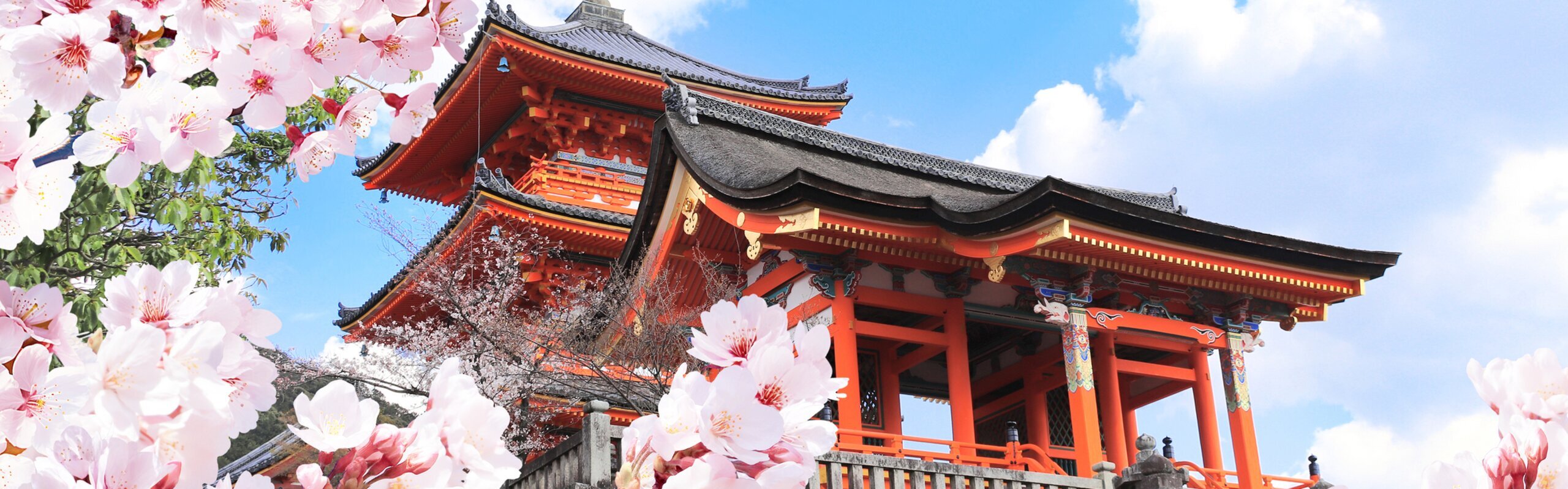 10-Day Charming Japan Cherry Blossom Tour