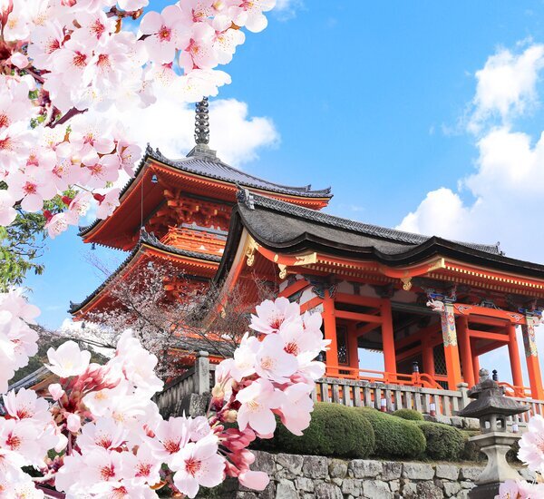 Best Japan Private Tour Packages 2025 2026 Customizable Best Japan Private Tour Packages 2025 2026 Customizable