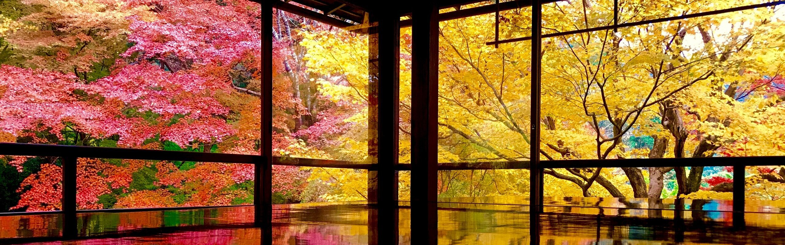 Autumn Festivals in Japan: Top 6 to Visit & How to Enjoy Them
