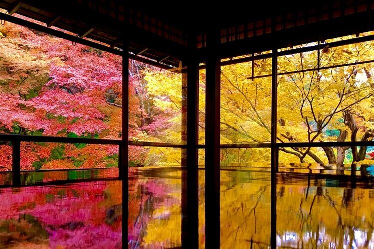 Best Time to Visit Kyoto 2026: How to Enjoy by Season