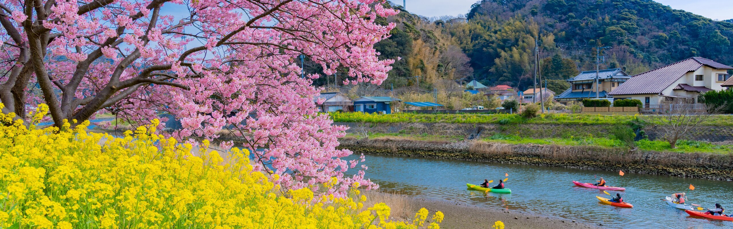 11-Day Japan Early Spring Tour: Blossoms & Coastal Bliss