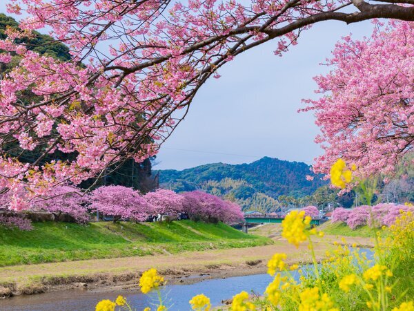 Minami-Izu
