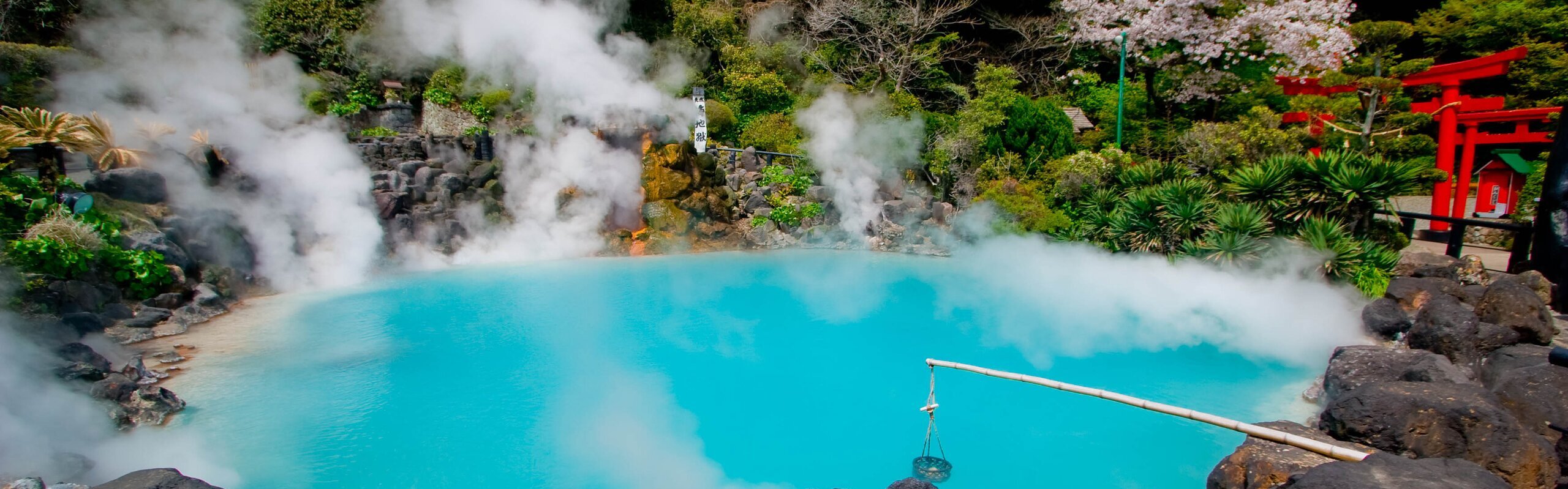 12-Day Hidden Japan Spring Tour: Secluded Blossoms, Exclusive Onsens