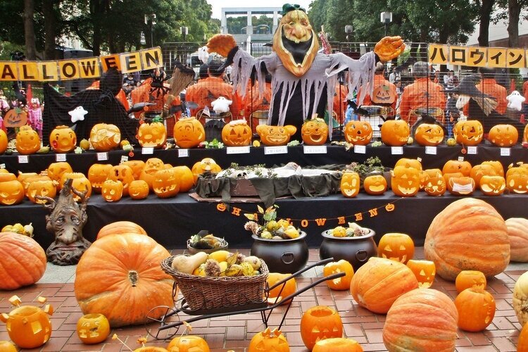 Colorful orange pumpkins in Halloween festival