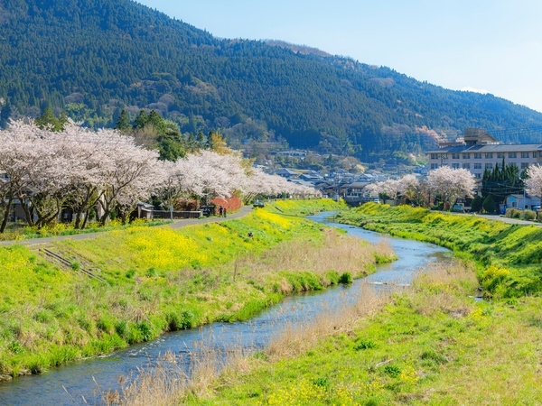 Yufuin Onsen Town in spring