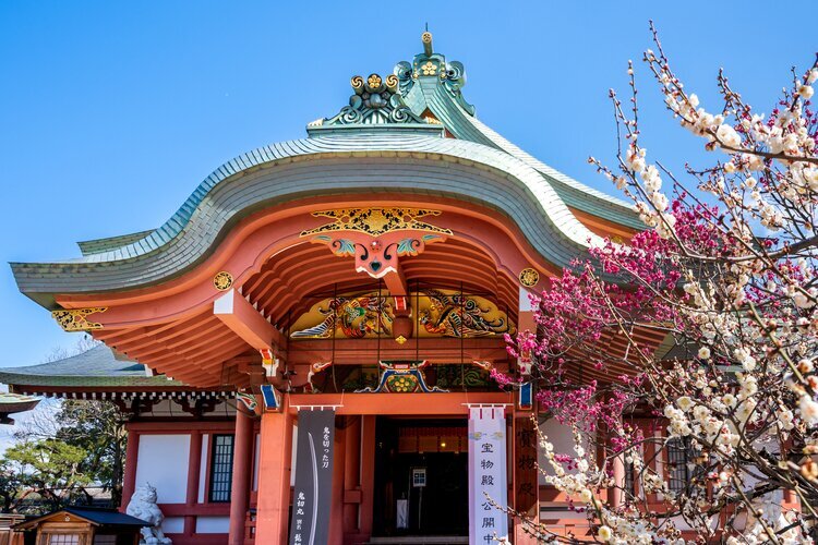 Kitano Tenmangu Shrine plum blossom festival in spring time