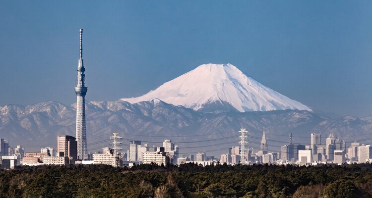 In winter, you can even see Mount Fuji from Tokyo city