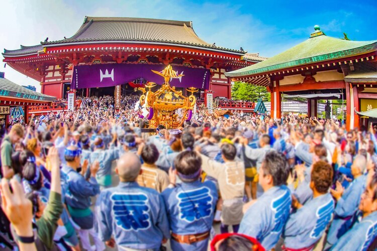 Sanja Matsuri Festival