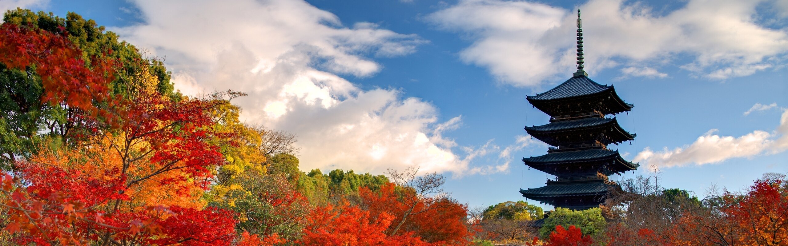 Japan Fall Foliage 2025: How to Plan the Perfect Autumn Trip