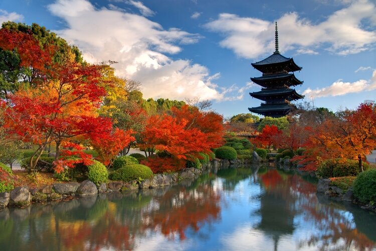 Kyoto's fall foliage