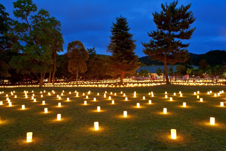 Nara Tokae Lantern Festival at Nara Park 