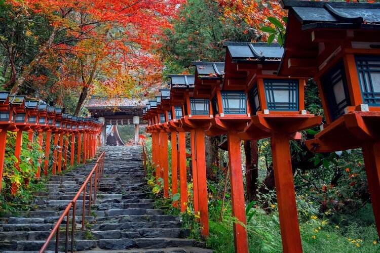 The quiet steps in Kifune Shrine covered by autumn colors