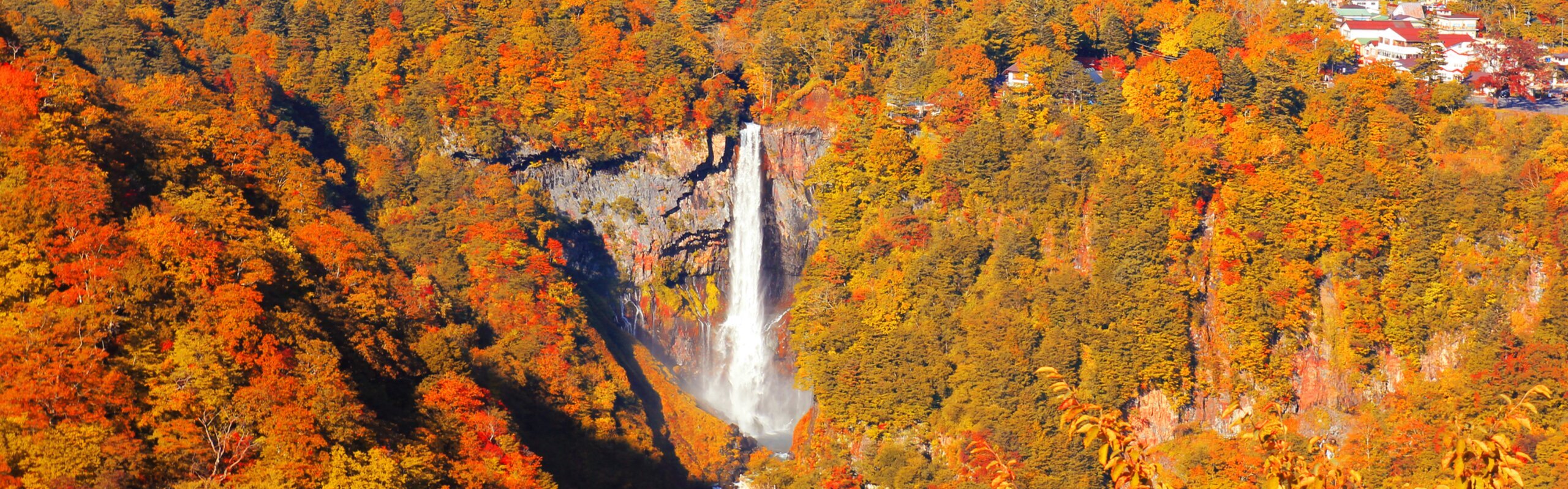 Japan Weather in October 2025: Fall Foliage Trip with Less Crowds