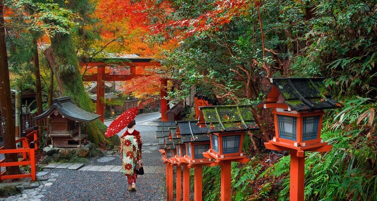 Japanese Woman in Traditional Kimono Kifune Shrine