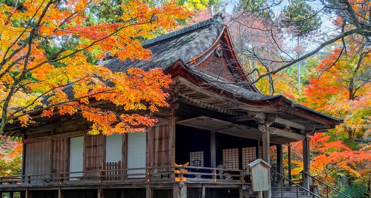 Scenic view of Sanzen-in temple with a colorful autumn garden