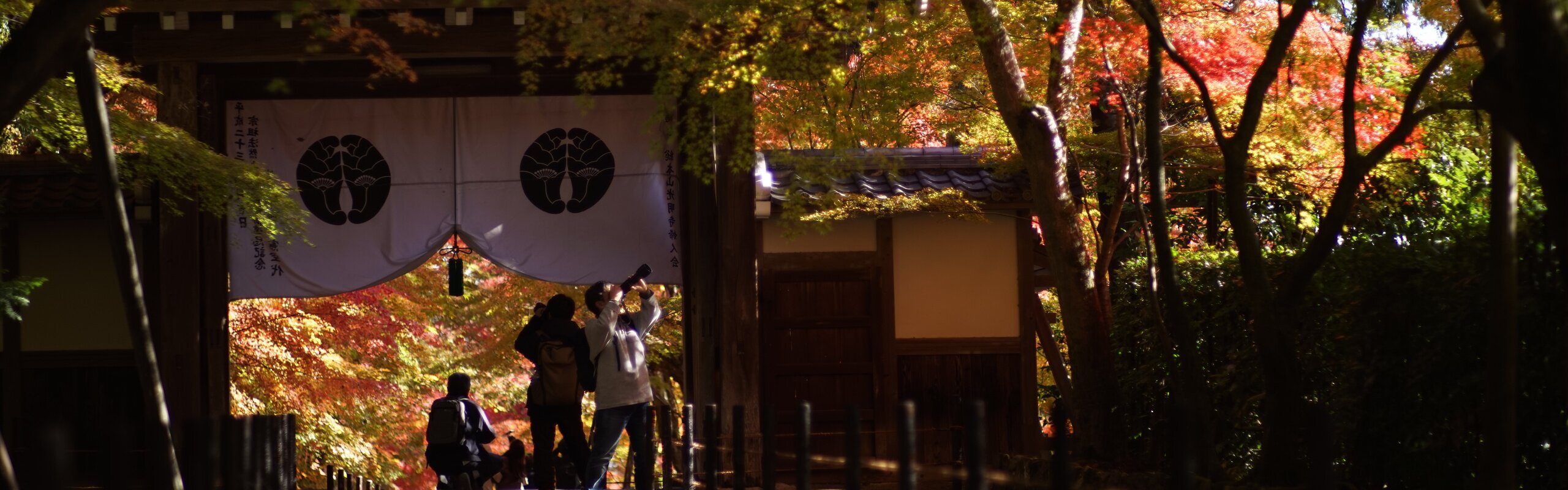 15-Day In-Depth Japan Autumn Tour with Landscapes and Tradition