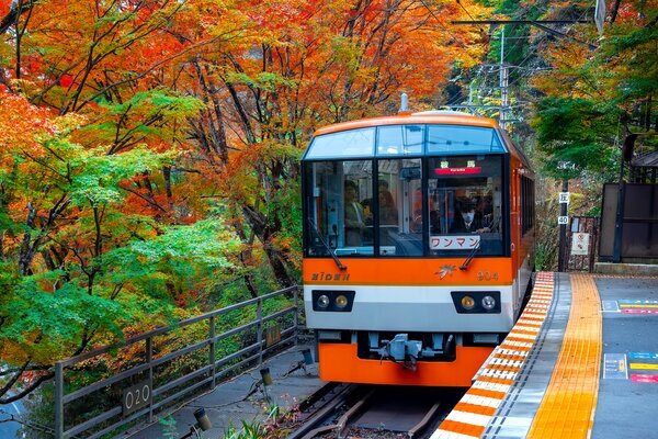 Japan autumn itineraries