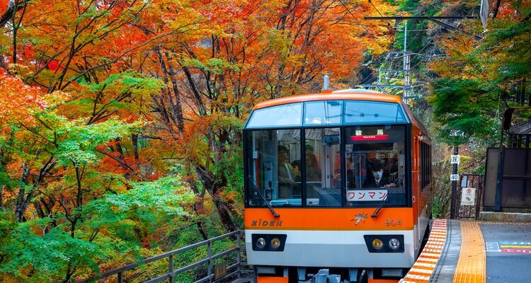 Eizan Maple Tunnel train