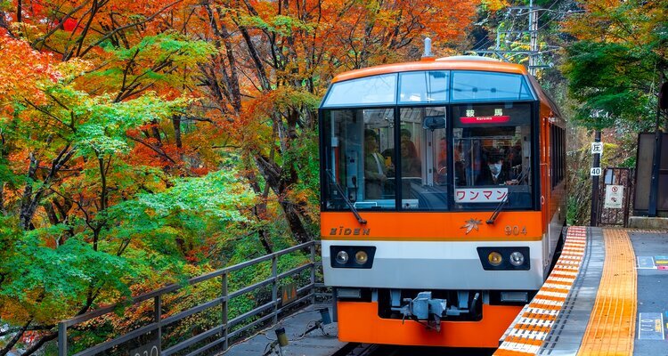 Eizan Maple Tunnel train