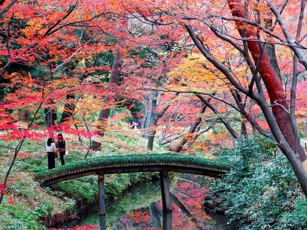Rikugi-en Garden in autumn