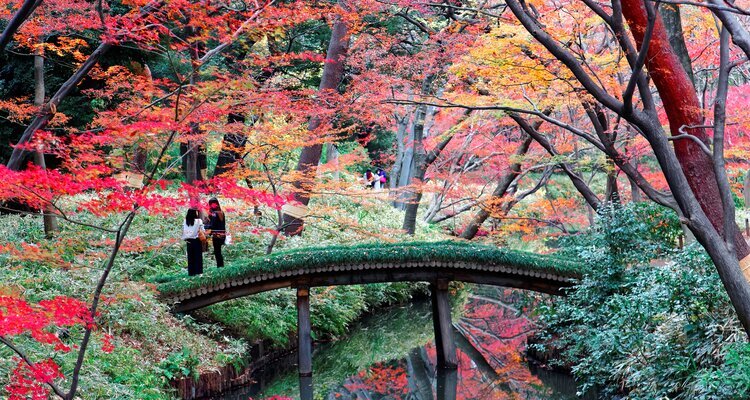 Rikugi-en Garden in Autumn