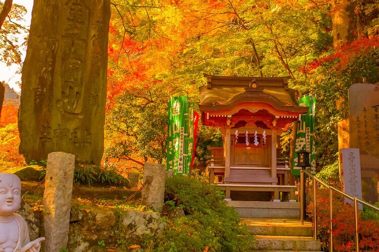  Mount Takao (Takaosan)
