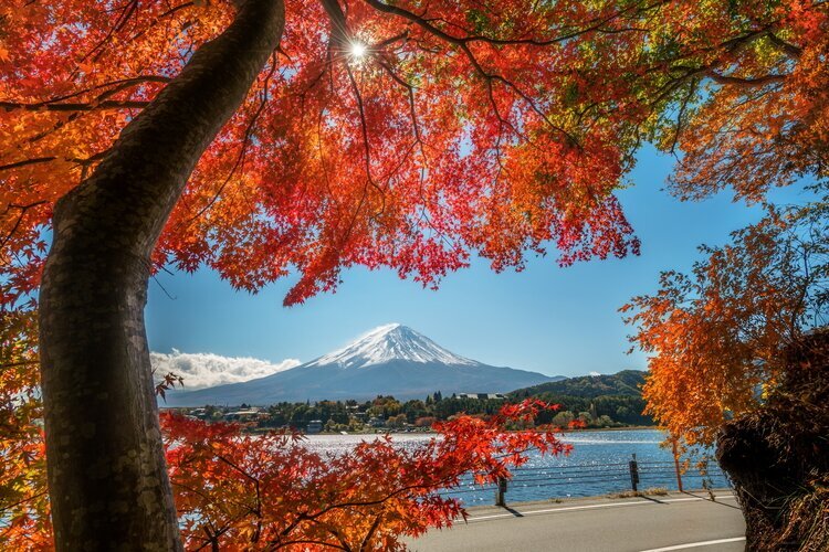 Mount Fuji